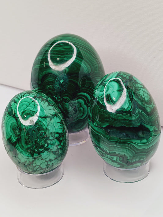 💚🥚 Malachite Egg – Transformative Beauty Growth and Heart Healing! ✨ - Spheres