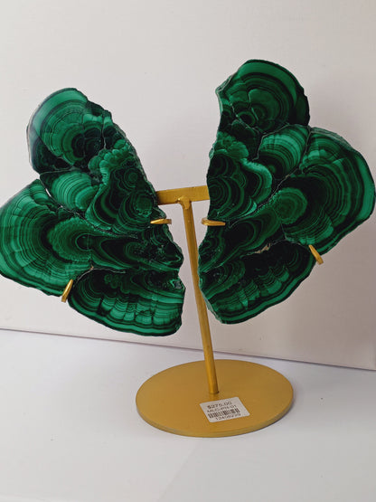 Pair of polished malachite slabs with vibrant green banding, displayed upright on a metal stand against a white background.