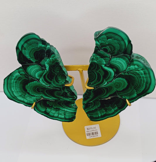Pair of polished malachite slabs with vibrant green banding, displayed upright on a metal stand against a white background.