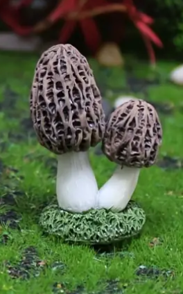 Mini Mushrooms for Fairy Gardens - Morel - Fairy Gardens