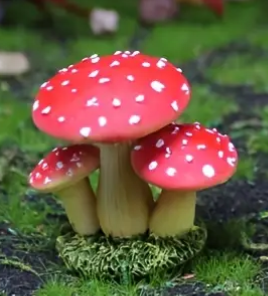 Mini Mushrooms for Fairy Gardens - Red Capped - Fairy Gardens