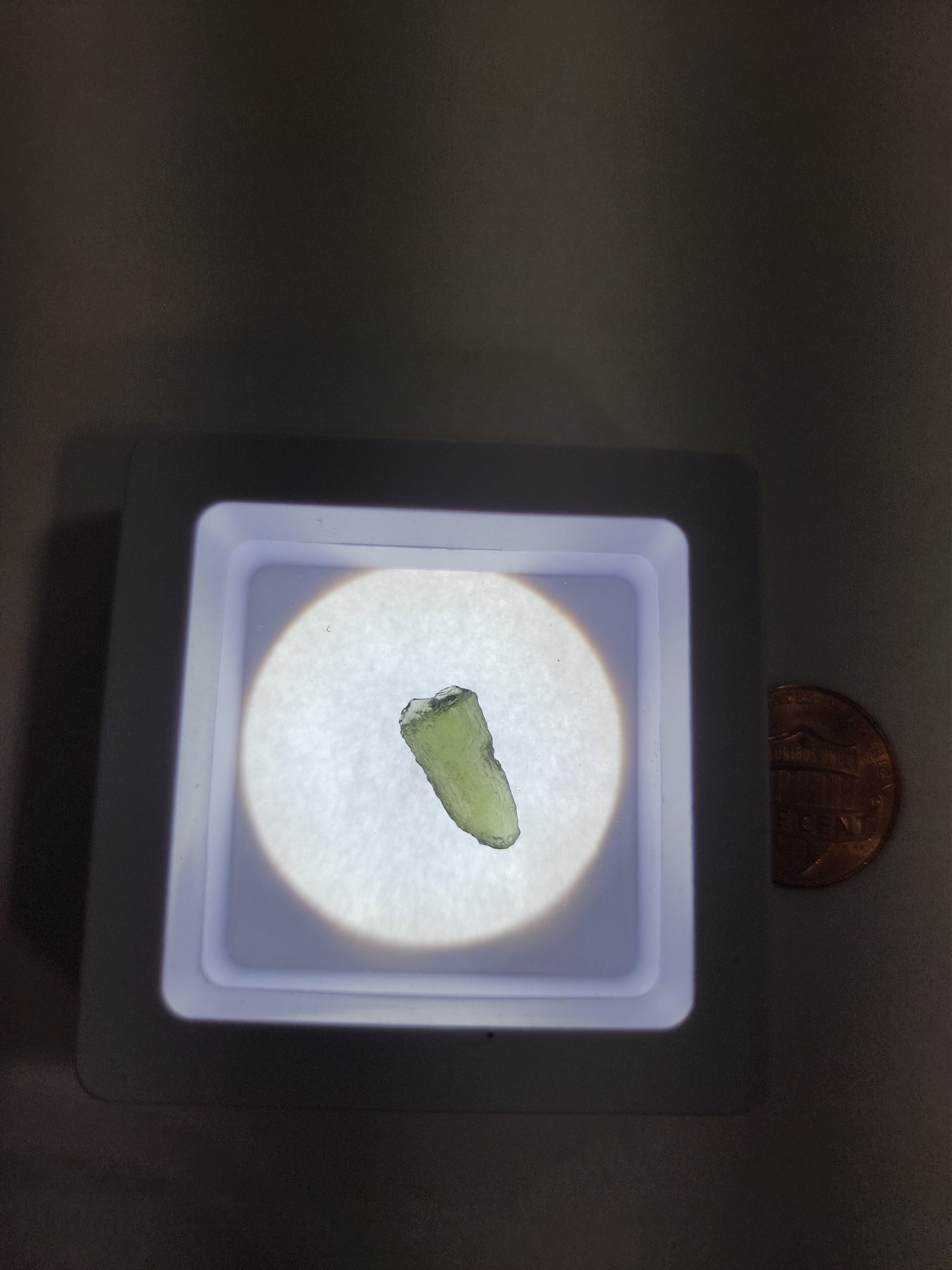 Moldavite Specimens - 1 - Specimens