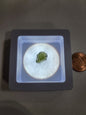 Moldavite Specimens - 2 - Specimens
