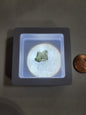 Moldavite Specimens - 6 - Specimens