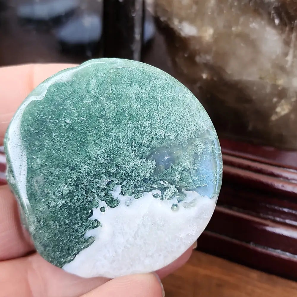 Moss Agate Mini Plate & Leaf - 2 - Carvings