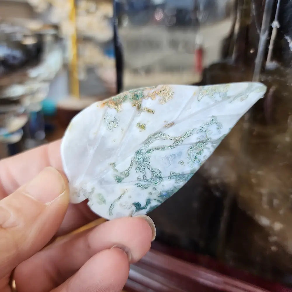 Moss Agate Mini Plate & Leaf - Leaf - Carvings