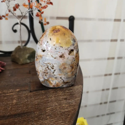 OCEAN JASPER FREE FORMS - 9 - Free Forms