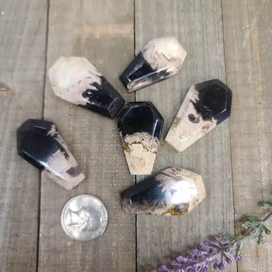 Palm Root Agate Coffins - Carvings