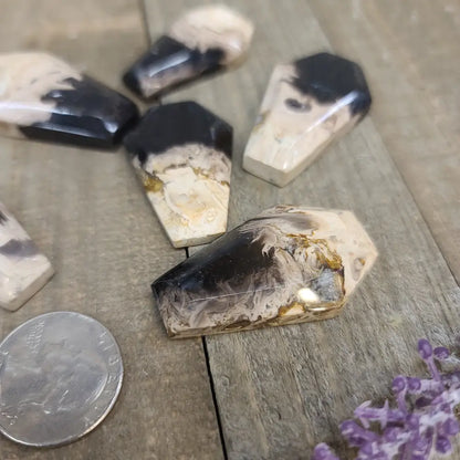 Palm Root Agate Coffins - Carvings