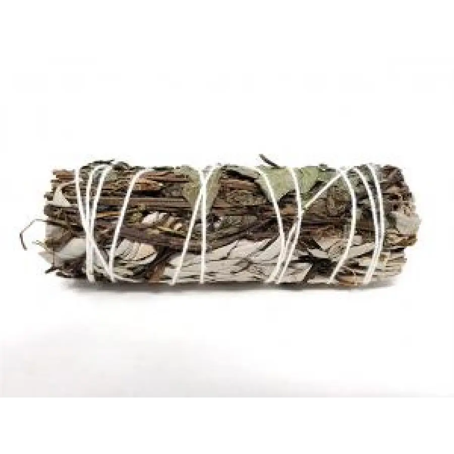 Peppermint and White Sage 4’’ - Incense & Burners