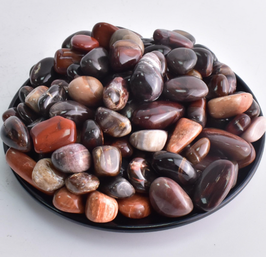 🌳✨ Petrified Wood Tumble – Ancient Wisdom Grounding & Gentle Transformation! 🪵 Tumbles