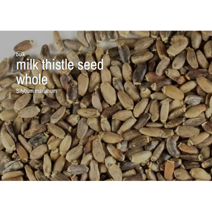 🌿✨ Pre-Packaged Herbs By The Ounce (1 oz) – Ritual Healing and Botanical Magic! 🍃 Page 1 - Milk Thistle - Herbs &