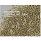 🌿✨ Pre-Packaged Herbs By The Ounce (1 oz) – Ritual Healing and Botanical Magic! 🍃 Page 1 - Angelica Root - Herbs &