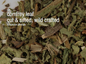 🌿✨ Pre-Packaged Herbs By The Ounce (1 oz) – Ritual Healing and Botanical Magic! 🍃 Page 1 - Comfrey - Herbs & Accessories