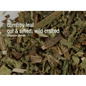 🌿✨ Pre-Packaged Herbs By The Ounce (1 oz) – Ritual Healing and Botanical Magic! 🍃 Page 1 - Comfrey - Herbs & Accessories