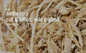🌿✨ Pre-Packaged Herbs By The Ounce (1 oz) – Ritual Healing and Botanical Magic! 🍃 Page 1 - Nettle Root - Herbs &