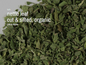🌿✨ Pre-Packaged Herbs By The Ounce (1 oz) – Ritual Healing and Botanical Magic! 🍃 Page 1 - Nettle Leaf - Herbs &