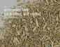 🌿✨ Pre-Packaged Herbs By The Ounce (1 oz) – Ritual Healing and Botanical Magic! 🍃 Page 1 - Wormwood - Herbs &