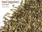 🌿✨ Pre-Packaged Herbs By The Ounce (1 oz) – Ritual Healing and Botanical Magic! 🍃 Page 1 - Basil Egyptian - Herbs &