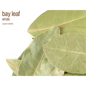 🌿✨ Pre-Packaged Herbs By The Ounce (1 oz) – Ritual Healing and Botanical Magic! 🍃 Page 1 - Bay Leaf - Herbs &