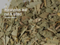 🌿✨ Pre-Packaged Herbs By The Ounce (1 oz) – Ritual Healing and Botanical Magic! 🍃 Page 1 - Eucalyptus Leaf - Herbs &