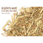 🌿✨ Pre-Packaged Herbs By The Ounce (1 oz) – Ritual Healing and Botanical Magic! 🍃 Page 1 - St John’s Wort - Herbs &