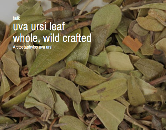 🌿✨ Pre-Packaged Herbs By The Ounce (1 oz) – Ritual Healing and Botanical Magic! 🍃 Page 1 - Uva Ursi - Herbs &
