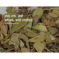 🌿✨ Pre-Packaged Herbs By The Ounce (1 oz) – Ritual Healing and Botanical Magic! 🍃 Page 1 - Uva Ursi - Herbs &