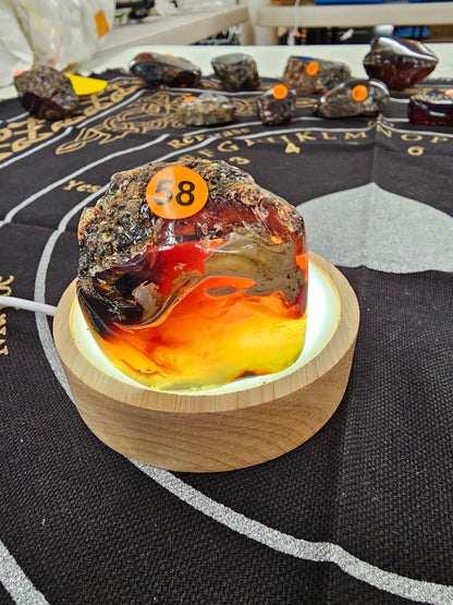 🔥 Red Amber from Sumatra - 1’’ to 1.5’’ Chunks ✨ - Medium-58 - Specimens