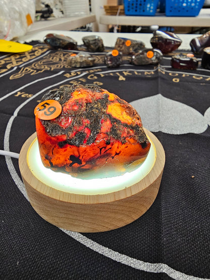 🔥 Red Amber from Sumatra - 1’’ to 1.5’’ Chunks ✨ - Medium-59 - Specimens