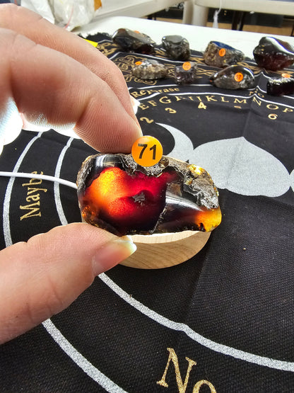 🔥 Red Amber from Sumatra - 1’’ to 1.5’’ Chunks ✨ - Small-71 - Specimens