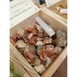 ROUGH CALCITE Red - Green - Honey - Orange - RED - Tumbles