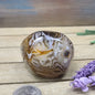 SardOnyx Palms - Large - 02. SardOnyx Palm - PALM