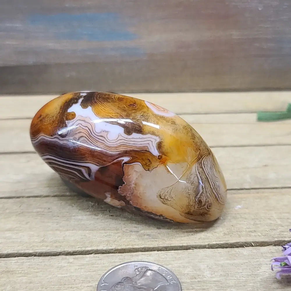 SardOnyx Palms - Large - 04. SardOnyx Palm - PALM