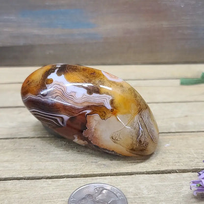 SardOnyx Palms - Large - 04. SardOnyx Palm - PALM
