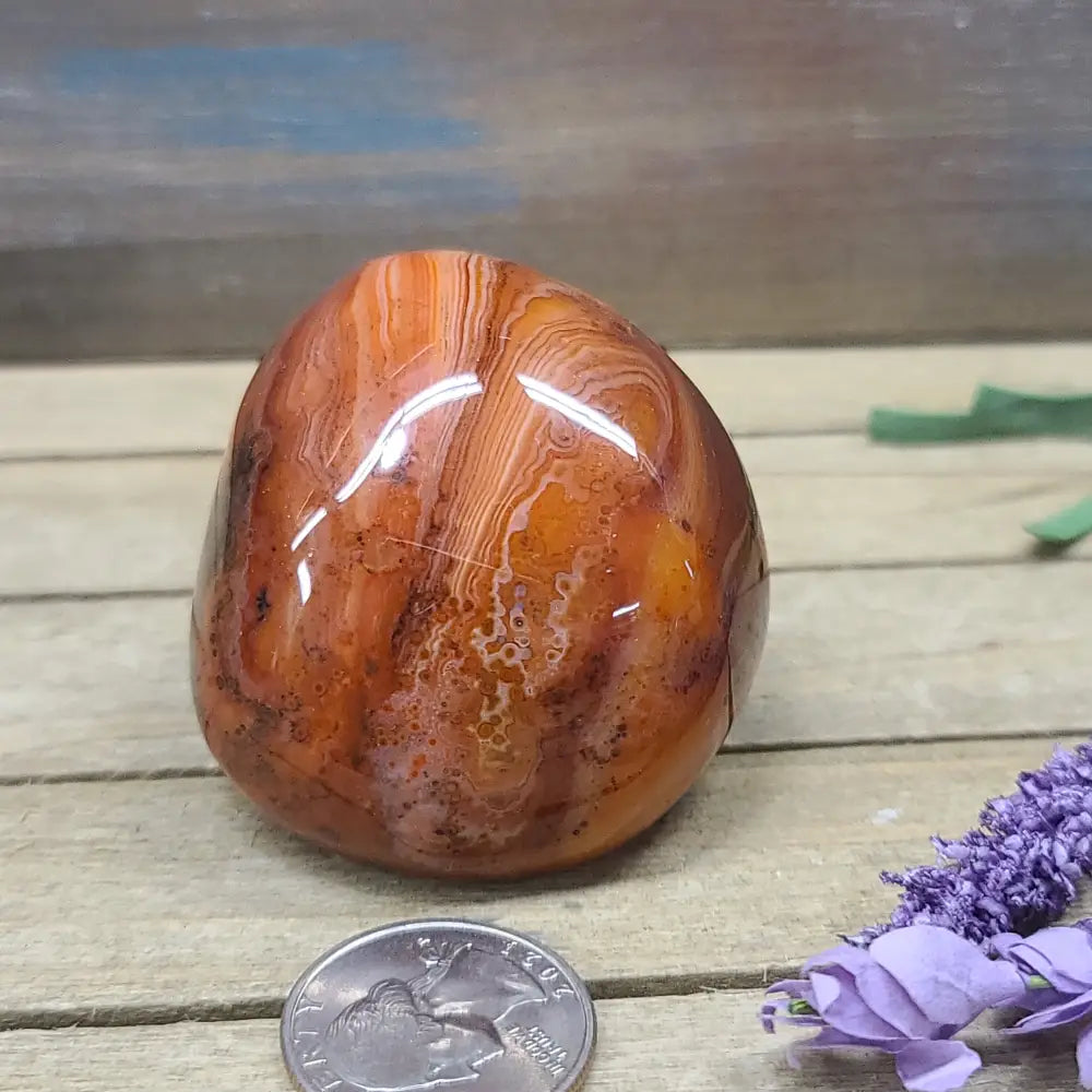 SardOnyx Palms - Large - 06. SardOnyx Palm - PALM