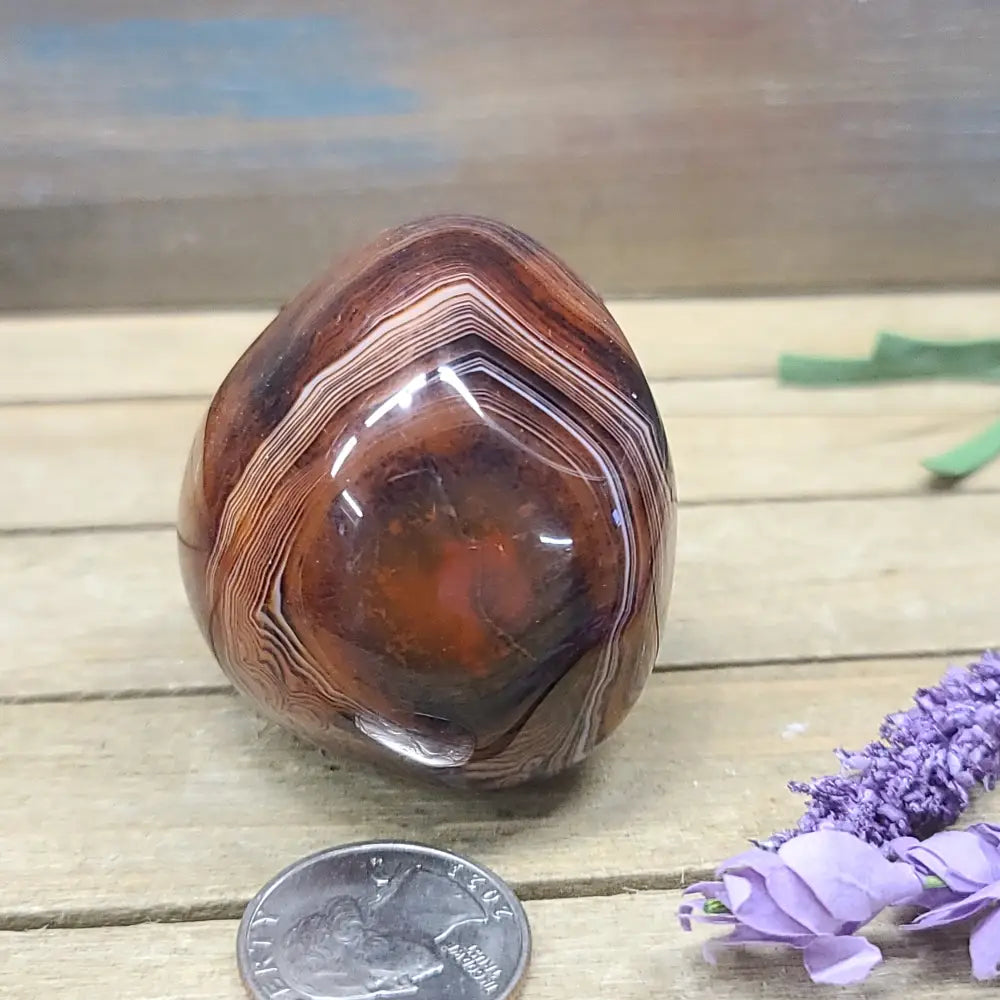 SardOnyx Palms - Large - 07. SardOnyx Palm - PALM