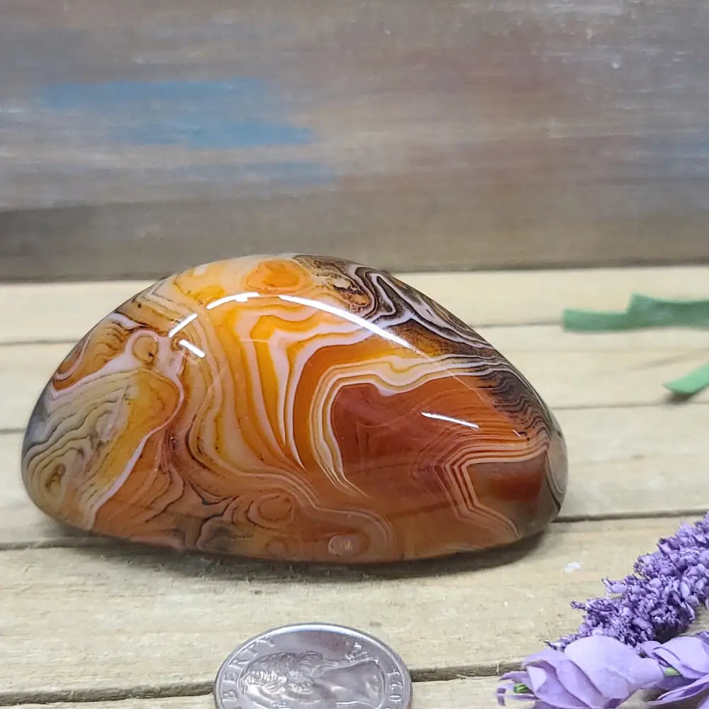 SardOnyx Palms - Large - 08. SardOnyx Palm - PALM