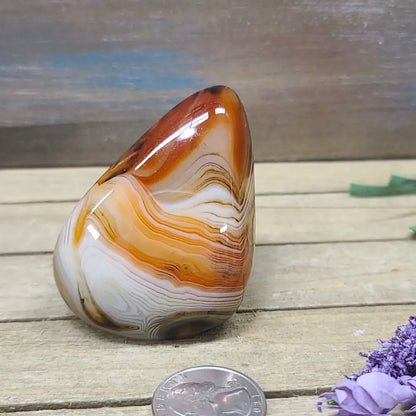 SardOnyx Palms - Large - 09. SardOnyx Palm - PALM