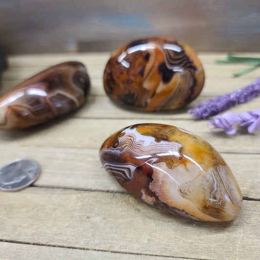 SardOnyx Palms - Large - PALM