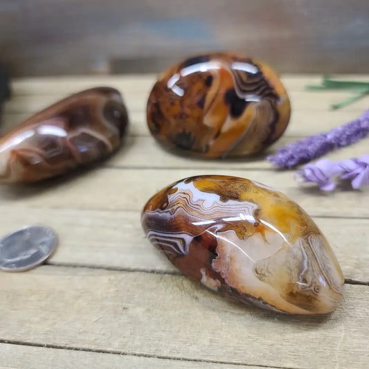 SardOnyx Palms - Large - PALM