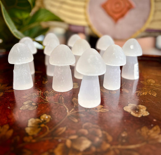 Selenite Mushroom - Carvings
