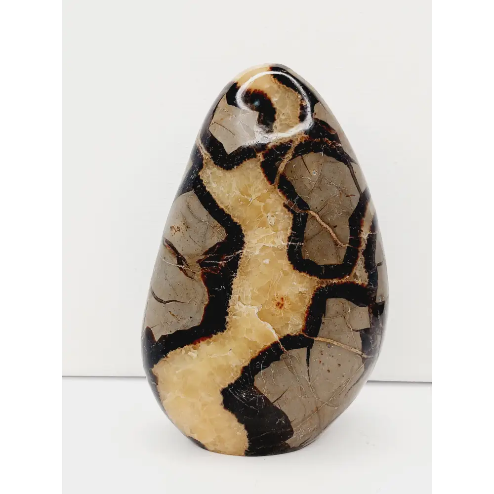 🌕✨ Septarian Free Form – Earth Energy and Ancient Wisdom 🌍💛 - 1 - 5.5’’ - Free Forms
