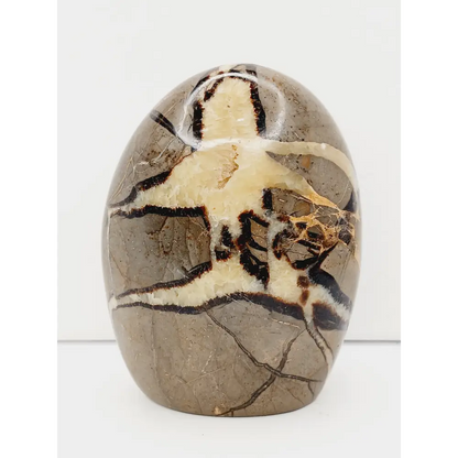 🌕✨ Septarian Free Form – Earth Energy and Ancient Wisdom 🌍💛 - 2 - 4.5’’ - Free Forms