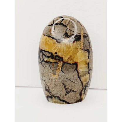 🌕✨ Septarian Free Form – Earth Energy and Ancient Wisdom 🌍💛 - 3 - 4.75’’ - Free Forms