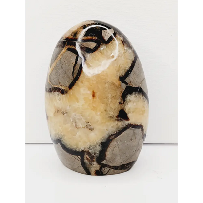 🌕✨ Septarian Free Form – Earth Energy and Ancient Wisdom 🌍💛 - 4 - 4.5’’ - Free Forms
