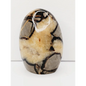 🌕✨ Septarian Free Form – Earth Energy and Ancient Wisdom 🌍💛 - 4 - 4.5’’ - Free Forms