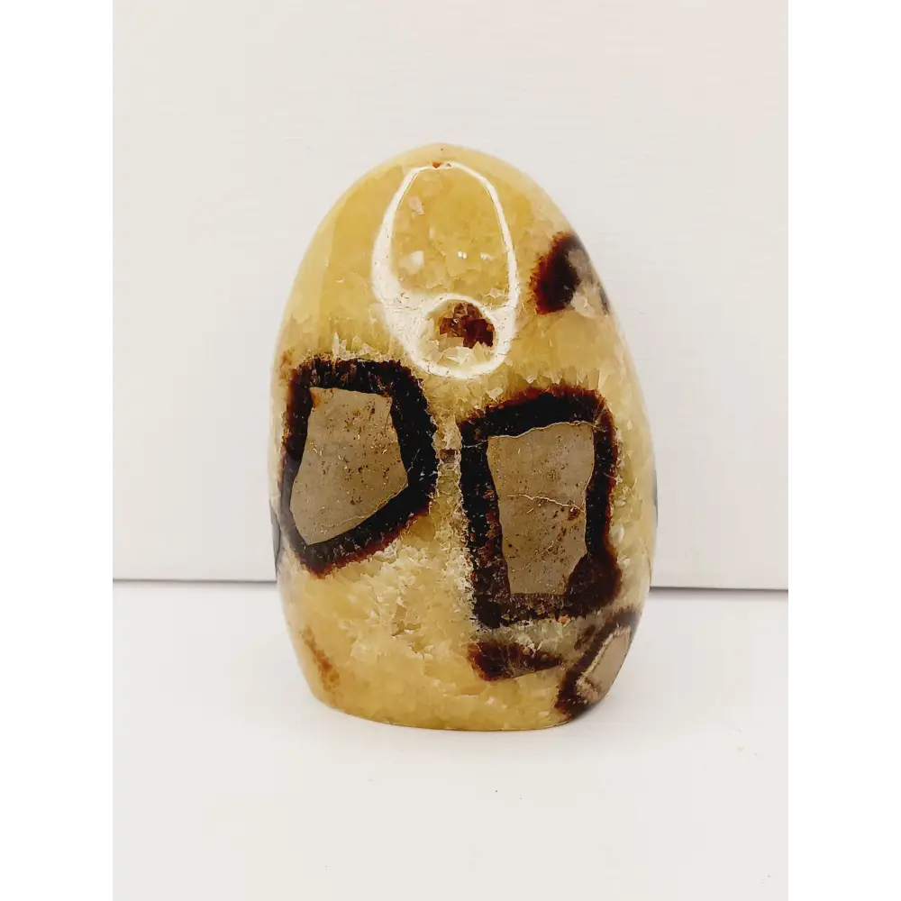 🌕✨ Septarian Free Form – Earth Energy and Ancient Wisdom 🌍💛 - 5 - 4.75’’ - Free Forms
