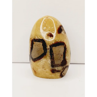 🌕✨ Septarian Free Form – Earth Energy and Ancient Wisdom 🌍💛 - 5 - 4.75’’ - Free Forms