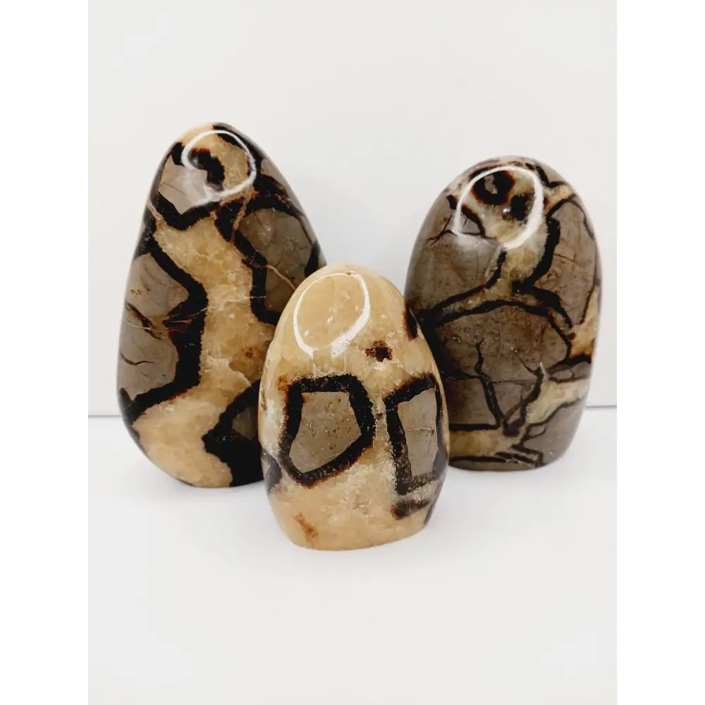 🌕✨ Septarian Free Form – Earth Energy and Ancient Wisdom 🌍💛 - Free Forms